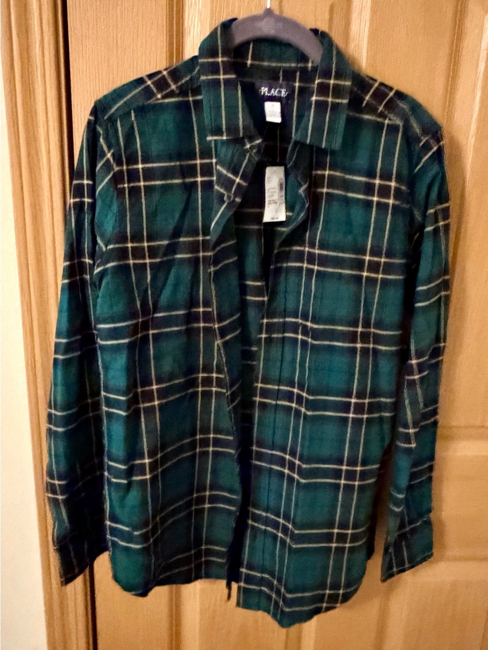 Place Green and Navy Plaid Button-Down Shirt